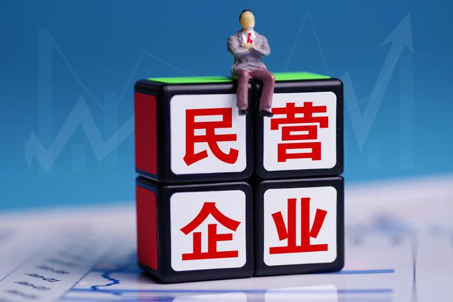 1740567572130786.jpg 民营企业.jpg